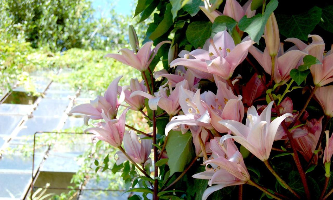 Madeleine Bergerac Bed & Breakfast Exterior photo